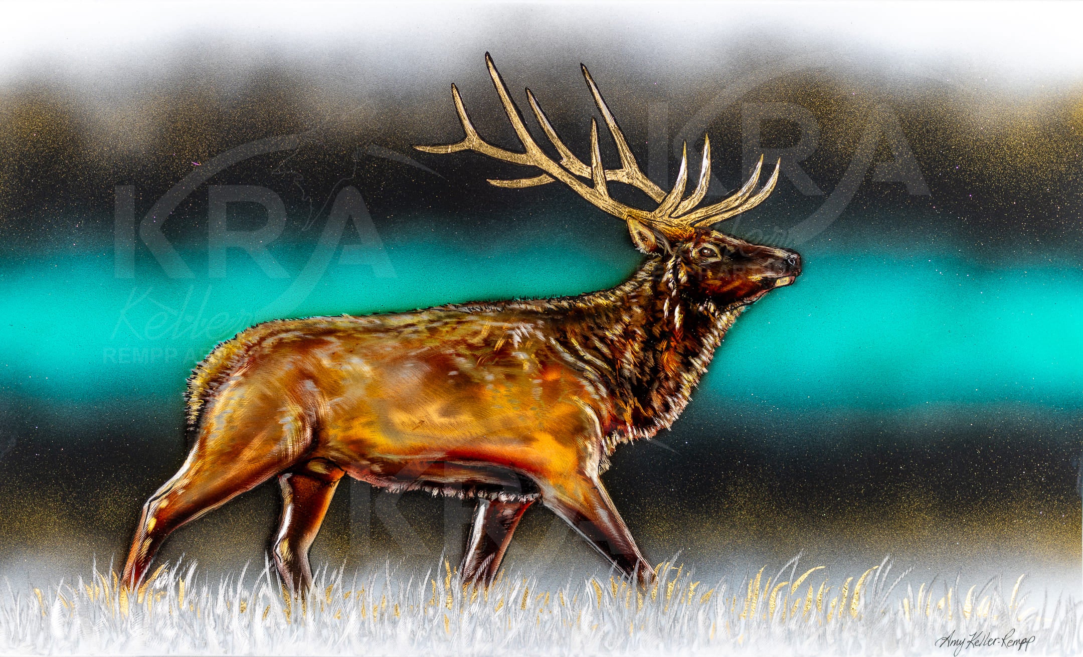 Wapiti Winds